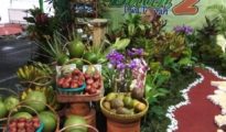 Ganjar: Festival Buah 2 Jawa Tengah Sebagai Langkah Efektif Untuk Menghasilkan Pertanian Berkualitas